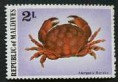 Krab